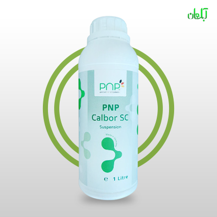 کود کلبر PNP
