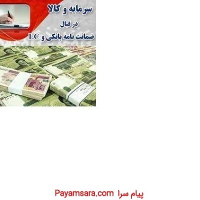 سرمایه و کالا در قبال ضمانت نامه بانکی و LC داخلی_66ced84ace147.jpeg