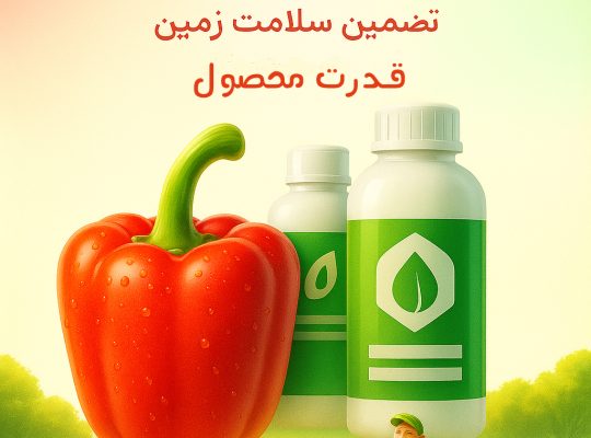 مجموعه آباجان: پیشگام در خرید و فروش محصولات کشاورزی