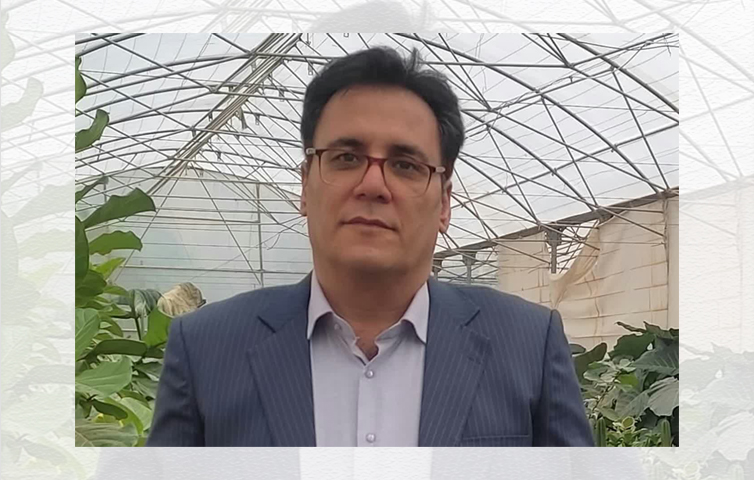 مهندس مهرداد معصومی - دکتری مدیریت